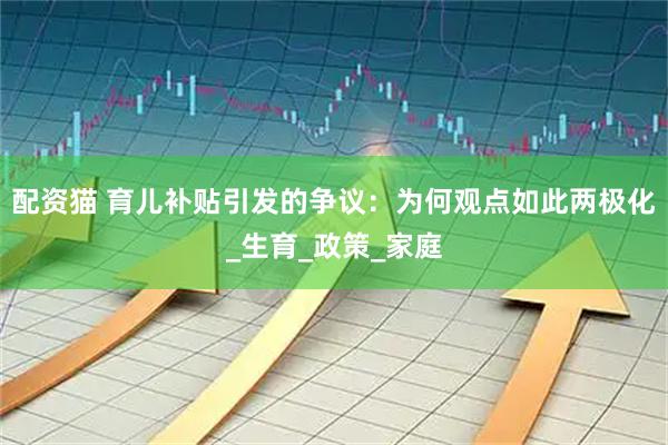 配资猫 育儿补贴引发的争议：为何观点如此两极化_生育_政策_家庭