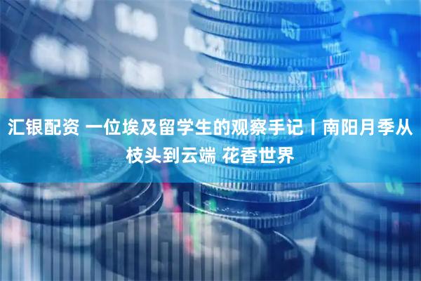 汇银配资 一位埃及留学生的观察手记丨南阳月季从枝头到云端 花香世界