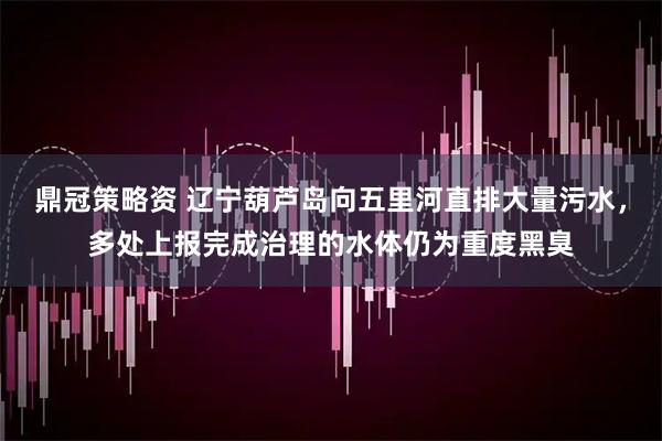 鼎冠策略资 辽宁葫芦岛向五里河直排大量污水，多处上报完成治理的水体仍为重度黑臭