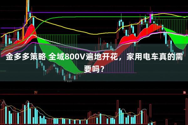 金多多策略 全域800V遍地开花，家用电车真的需要吗？