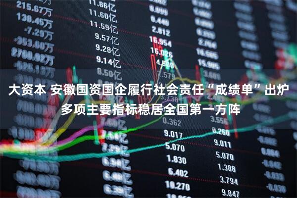大资本 安徽国资国企履行社会责任“成绩单”出炉 多项主要指标稳居全国第一方阵