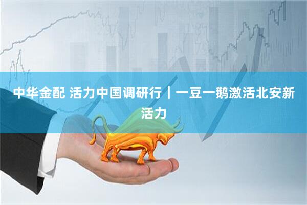 中华金配 活力中国调研行｜一豆一鹅激活北安新活力